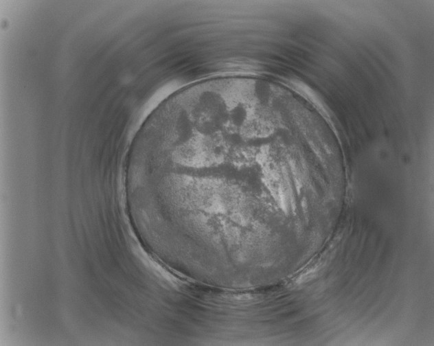 X0000065241243200603031730