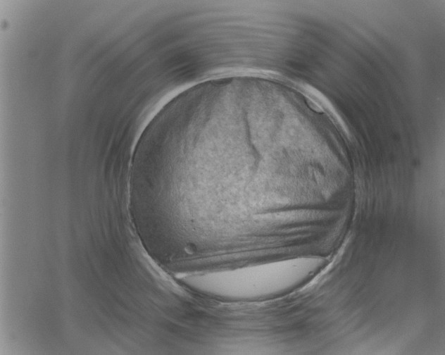 X0000065241244200603031730