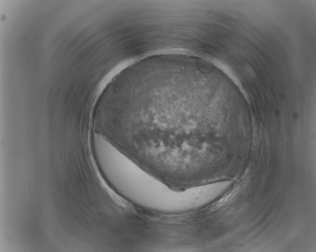 X0000065241245200603031730