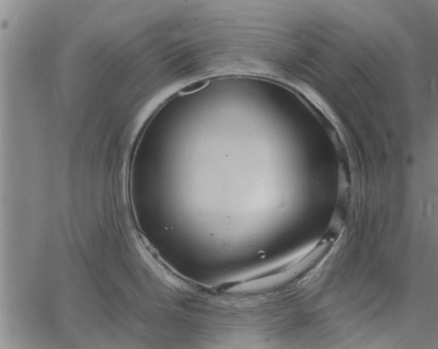 X0000065241246200603031730