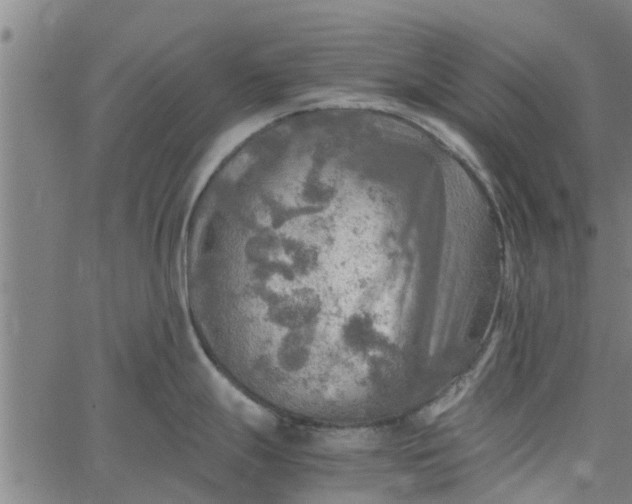 X0000065241247200603031730