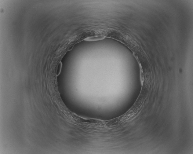 X0000065241249200603031730