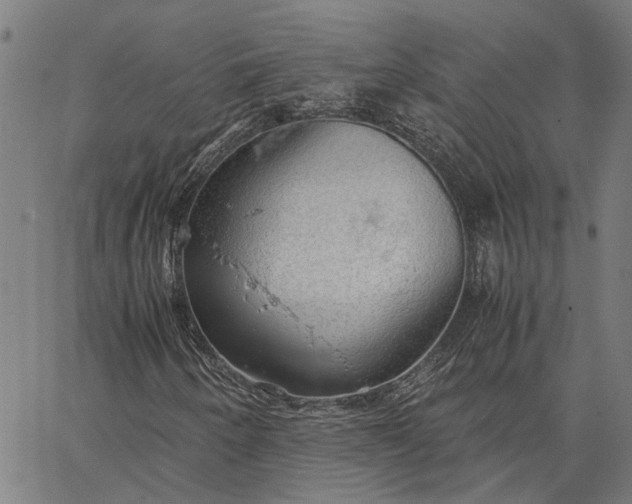 X0000065241250200603031730