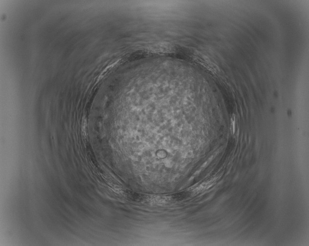 X0000065241251200603031730