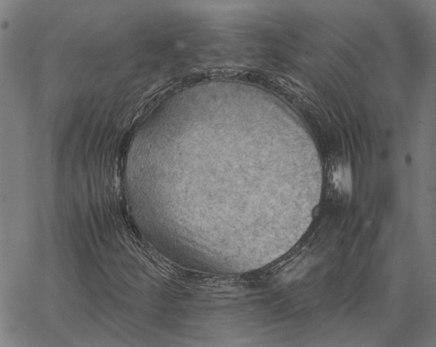 X0000065241252200603031730