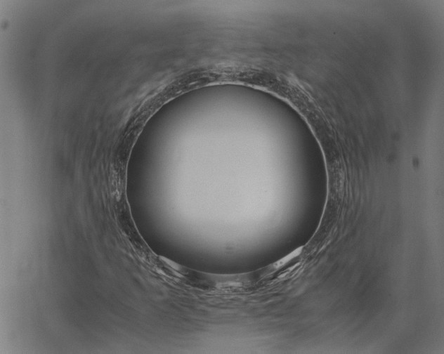 X0000065241253200603031730