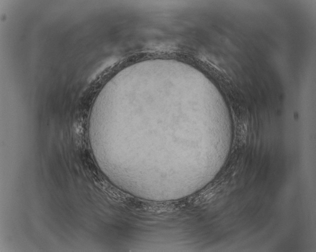 X0000065241254200603031729