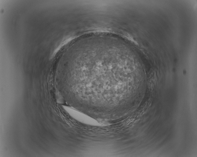 X0000065241255200603031729