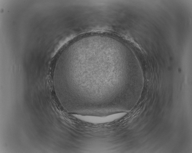 X0000065241256200603031729