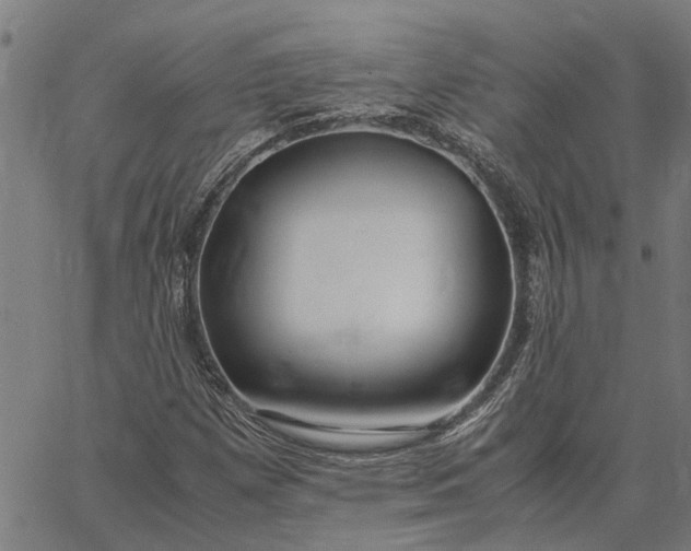 X0000065241257200603031729