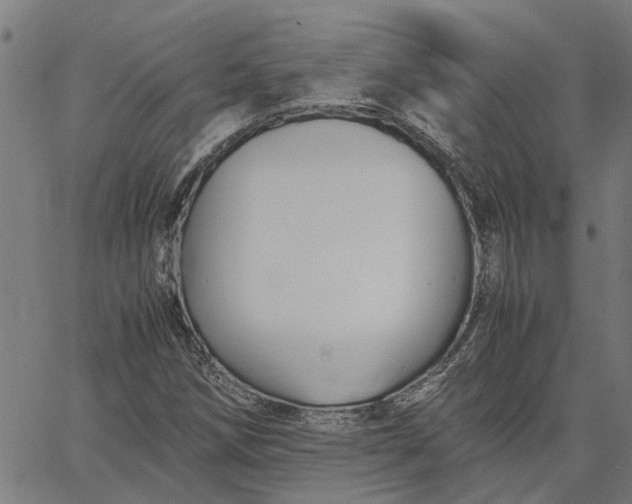 X0000065241258200603031729