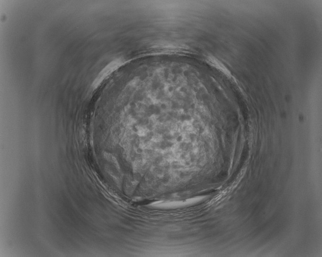 X0000065241259200603031729