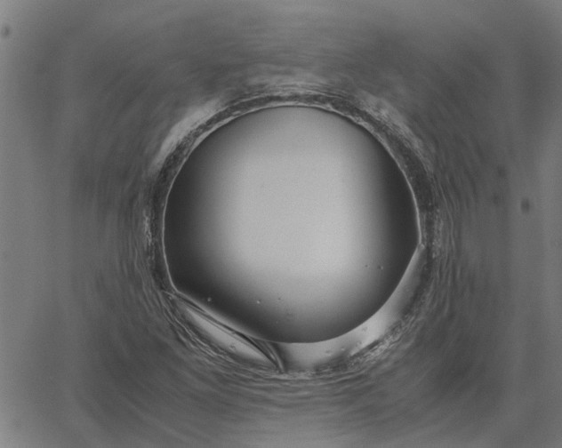 X0000065241261200603031729