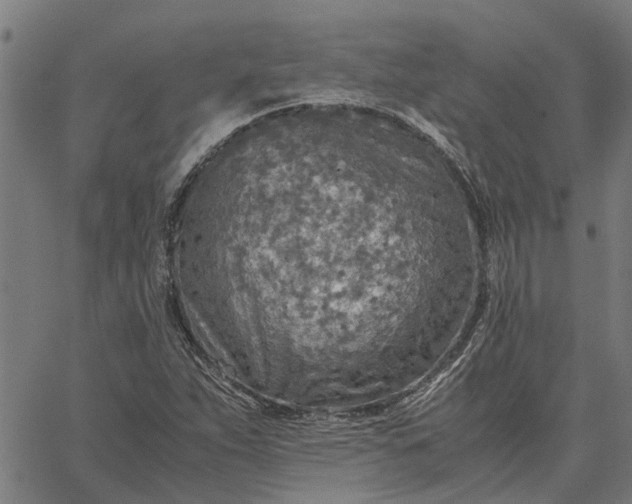 X0000065241263200603031729