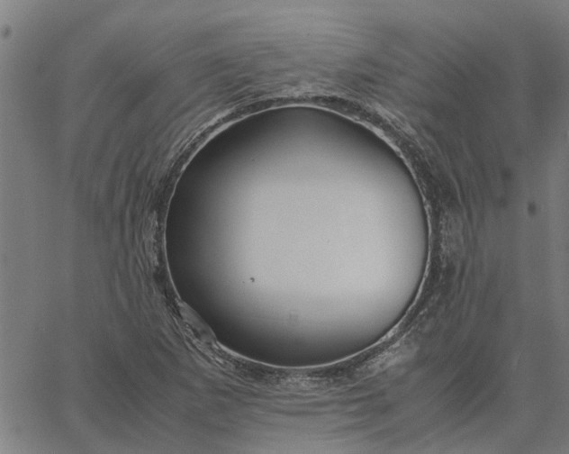 X0000065241265200603031729