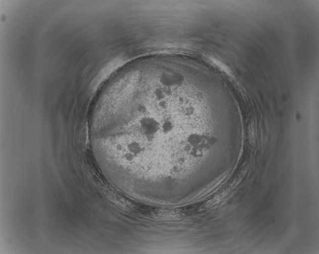 X0000065241267200603031729