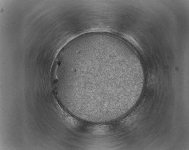 X0000065241268200603031729