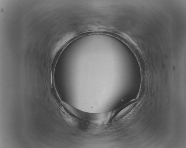 X0000065241269200603031729