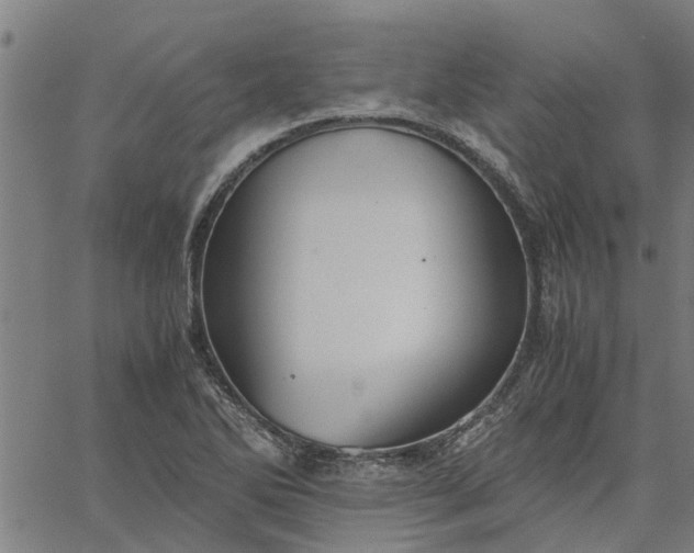 X0000065241270200603031729