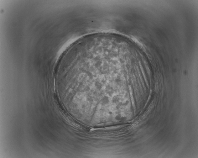 X0000065241271200603031729