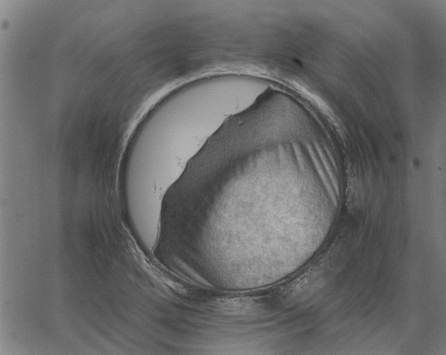 X0000065241272200603031729