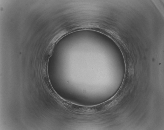 X0000065241273200603031729