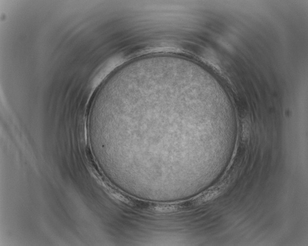 X0000065241274200603031729