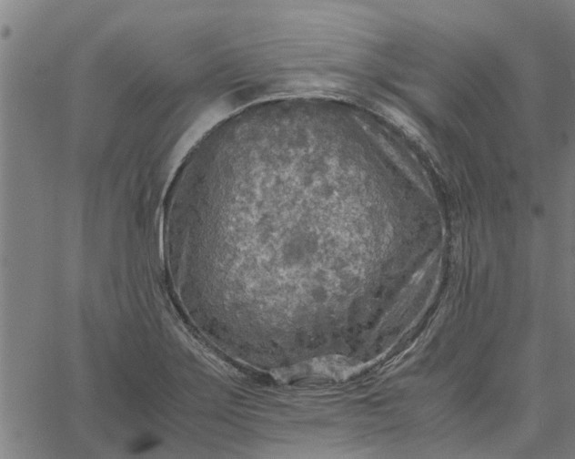 X0000065241275200603031729