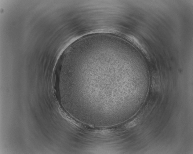 X0000065241276200603031729