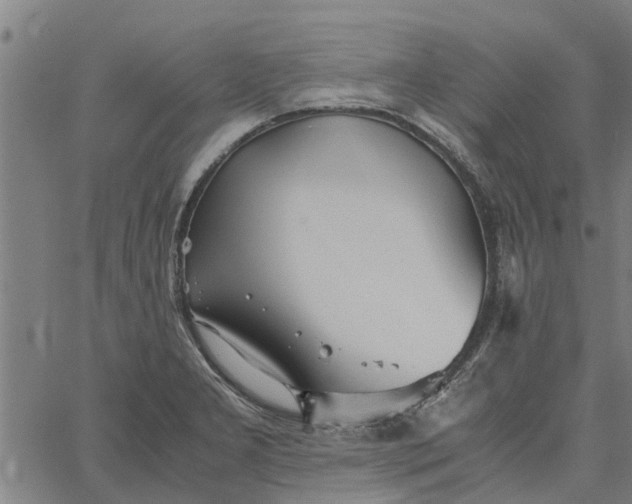 X0000065241277200603031729