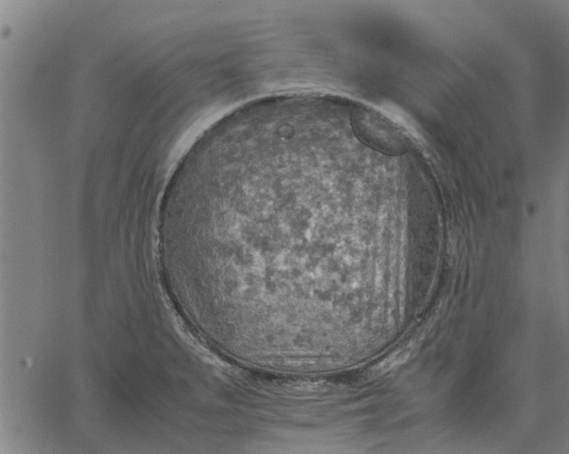 X0000065241279200603031729