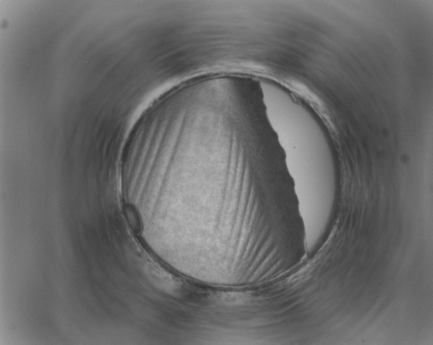 X0000065241280200603031729