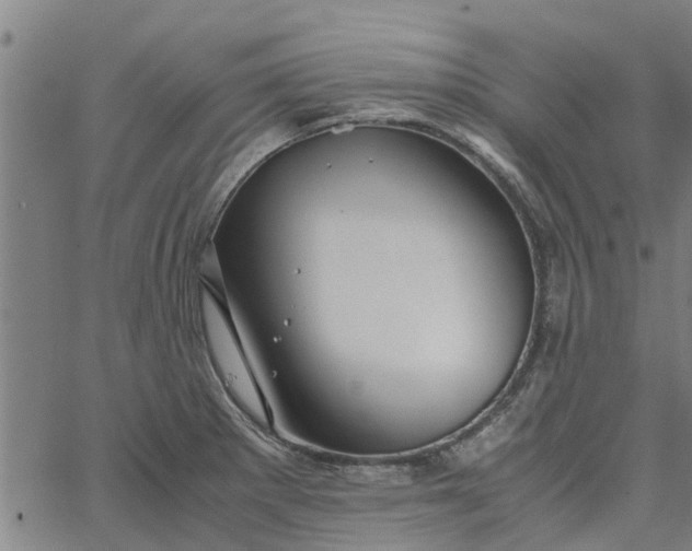 X0000065241281200603031729