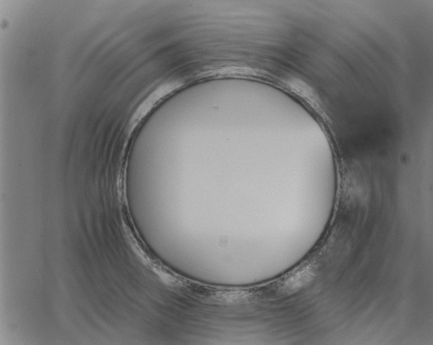 X0000065241282200603031729