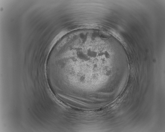 X0000065241283200603031729