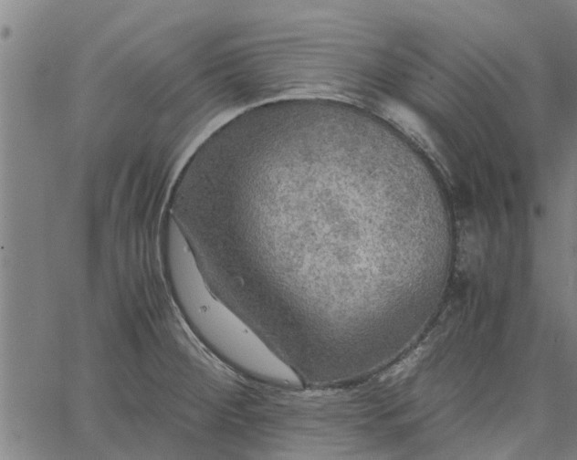 X0000065241284200603031729