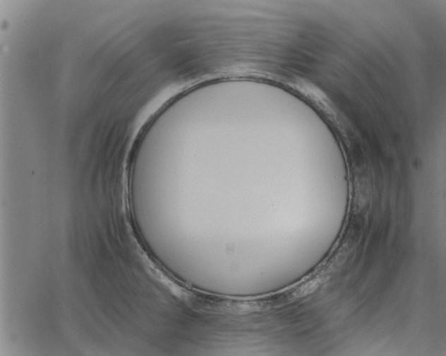 X0000065241286200603031729