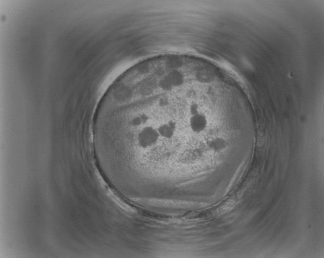 X0000065241287200603031729