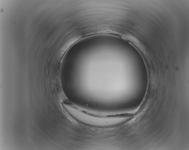 X0000065241289200603031729