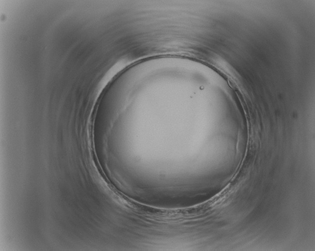 X0000065241291200603031729