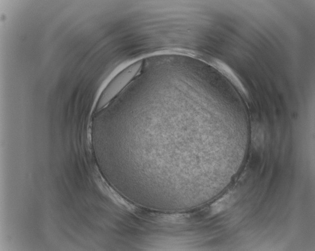 X0000065241292200603031729