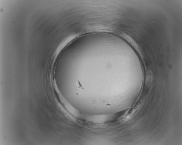 X0000065241293200603031729