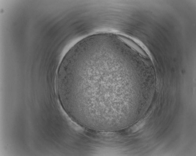 X0000065241295200603031729