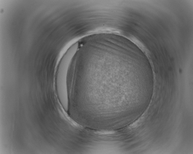 X0000065241296200603031729