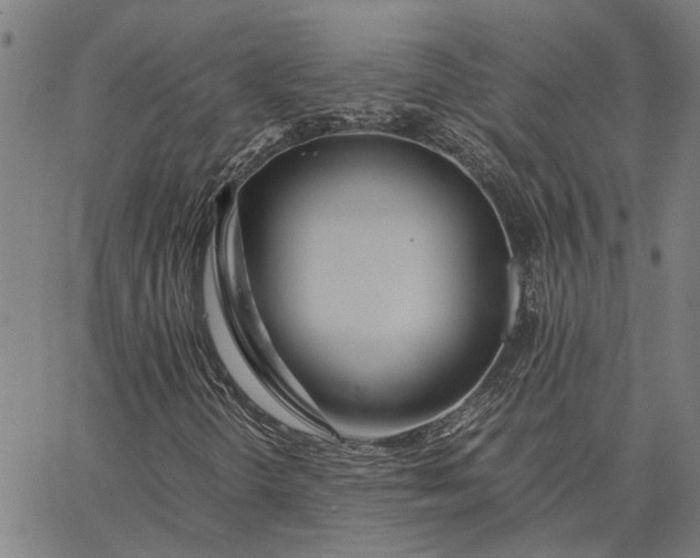 X0000065241298200603031728