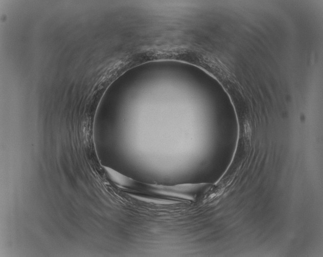 X0000065241300200603031728