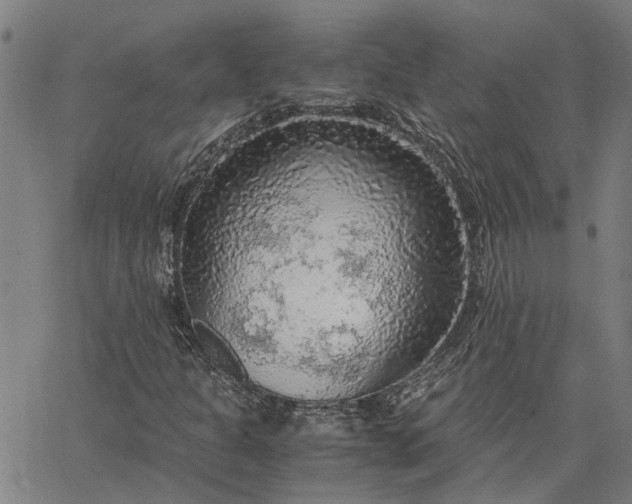 X0000065241301200603031728