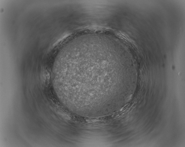 X0000065241302200603031728