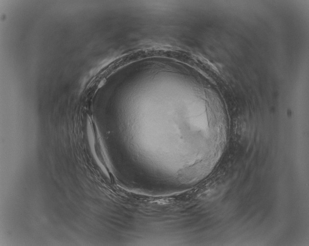 X0000065241303200603031728