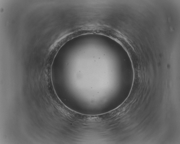 X0000065241304200603031728